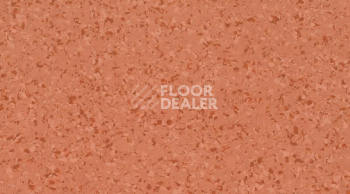 Линолеум Gerflor Mipolam Affinity 4435 Butternut фото 1 | FLOORDEALER